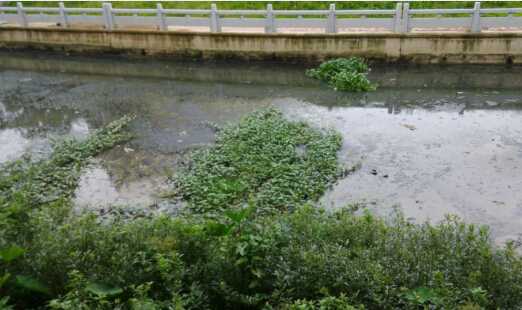 [广东]河道清淤8寸立式泥浆泵，砂泵厂家直供